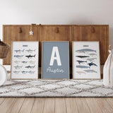 Sharks & Whales - Set of 3 Posters