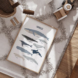 Sharks & Whales - Set of 3 Posters